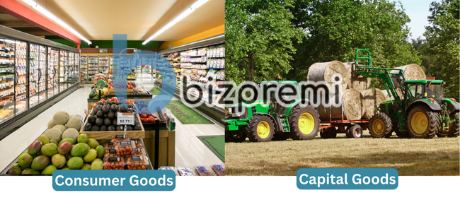 consumer goods vs capital goods