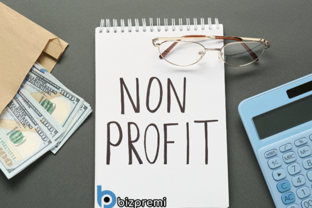 What is a non profit business