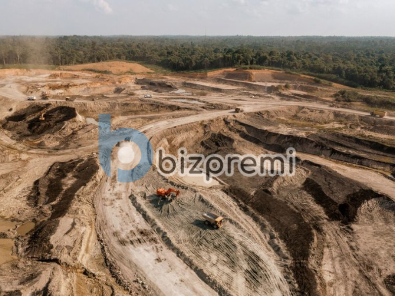 Asian Mavericks Bet Big on Coal as Global Giants Retreat